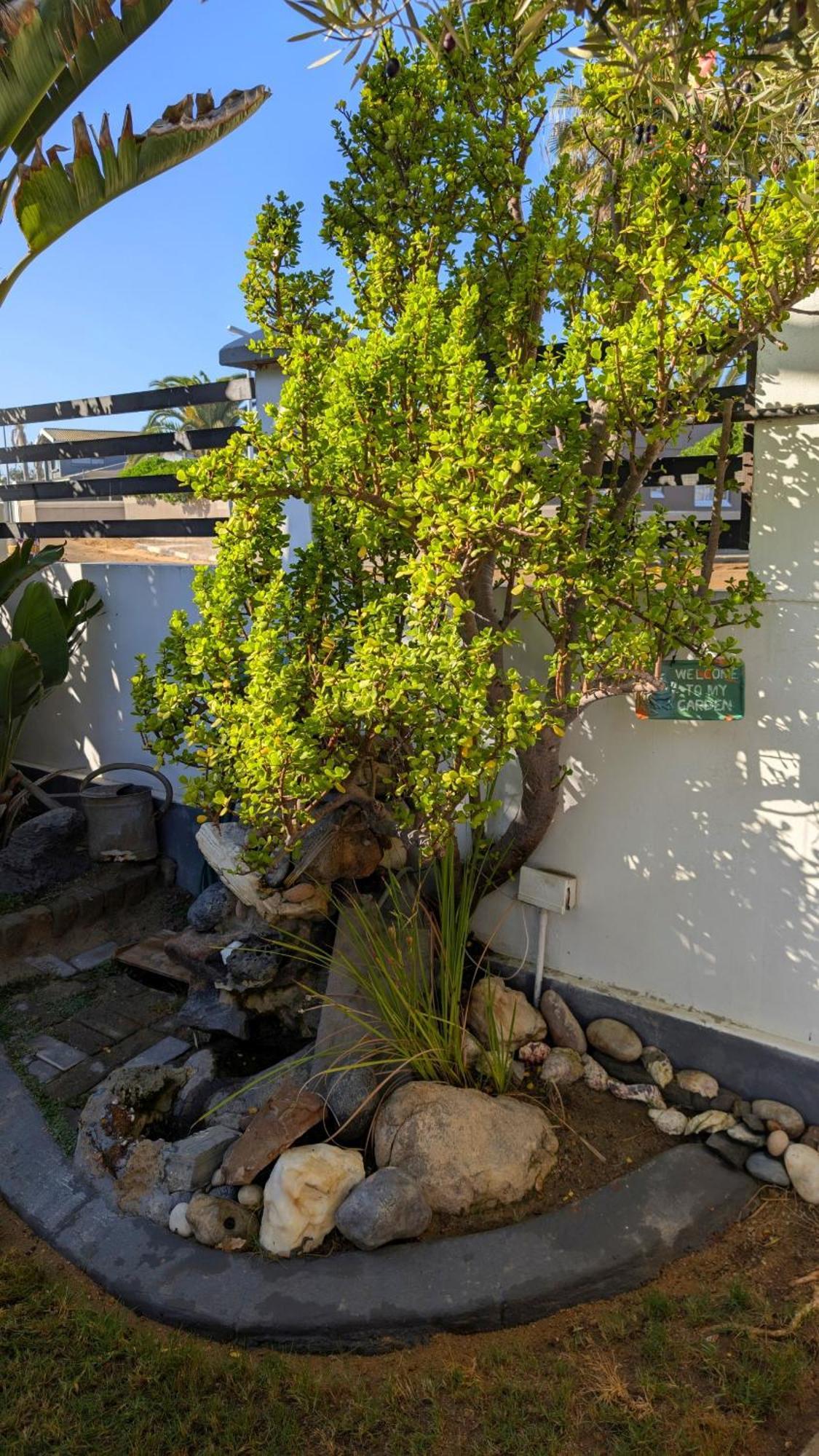 Amarachi Guesthouse Swakopmund Dış mekan fotoğraf
